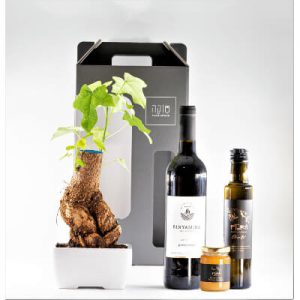 מארז מתנה – עץ האהבה 